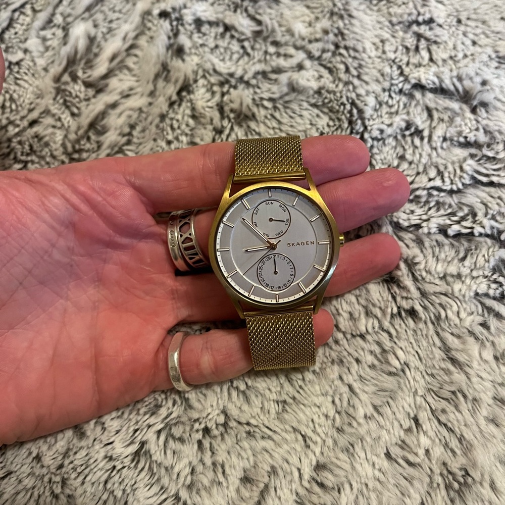Skagen Watch
